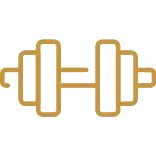 indoor gymnasium icon - kohinoor kaleido